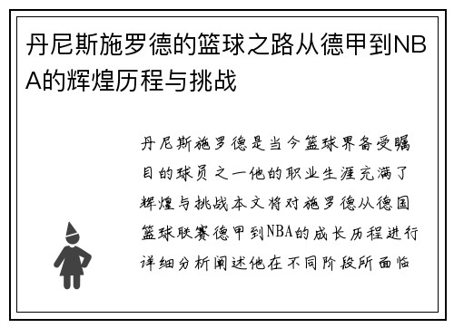丹尼斯施罗德的篮球之路从德甲到NBA的辉煌历程与挑战
